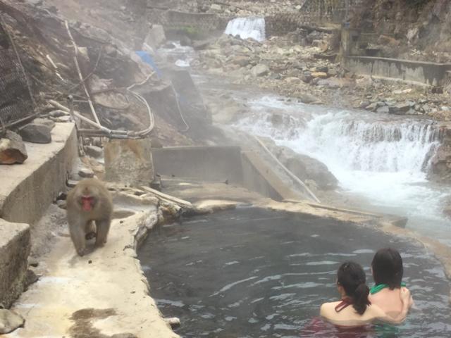 Jigokudani Onsen Korakukan Hotel Nakano  Bagian luar foto