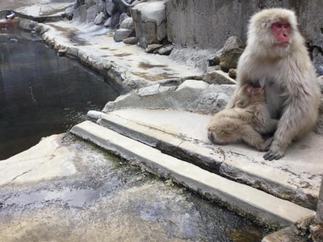 Jigokudani Onsen Korakukan Hotel Nakano  Bagian luar foto